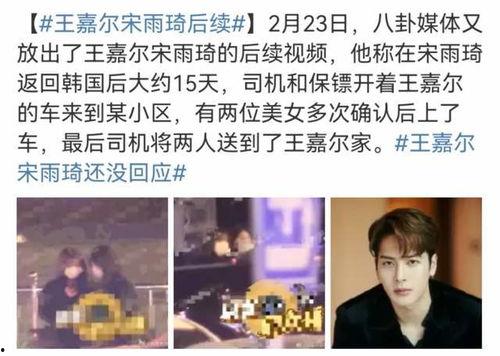 宋大嘴最新爆料视频播放,热点事件背后的惊人真相